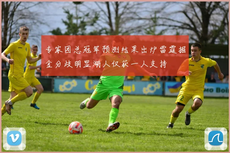 专家团总冠军预测结果出炉雷霆掘金分歧明显湖人仅获一人支持
