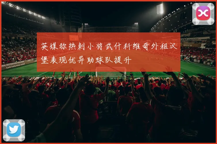 英媒称热刺小将武什科维奇外租汉堡表现优异助球队提升
